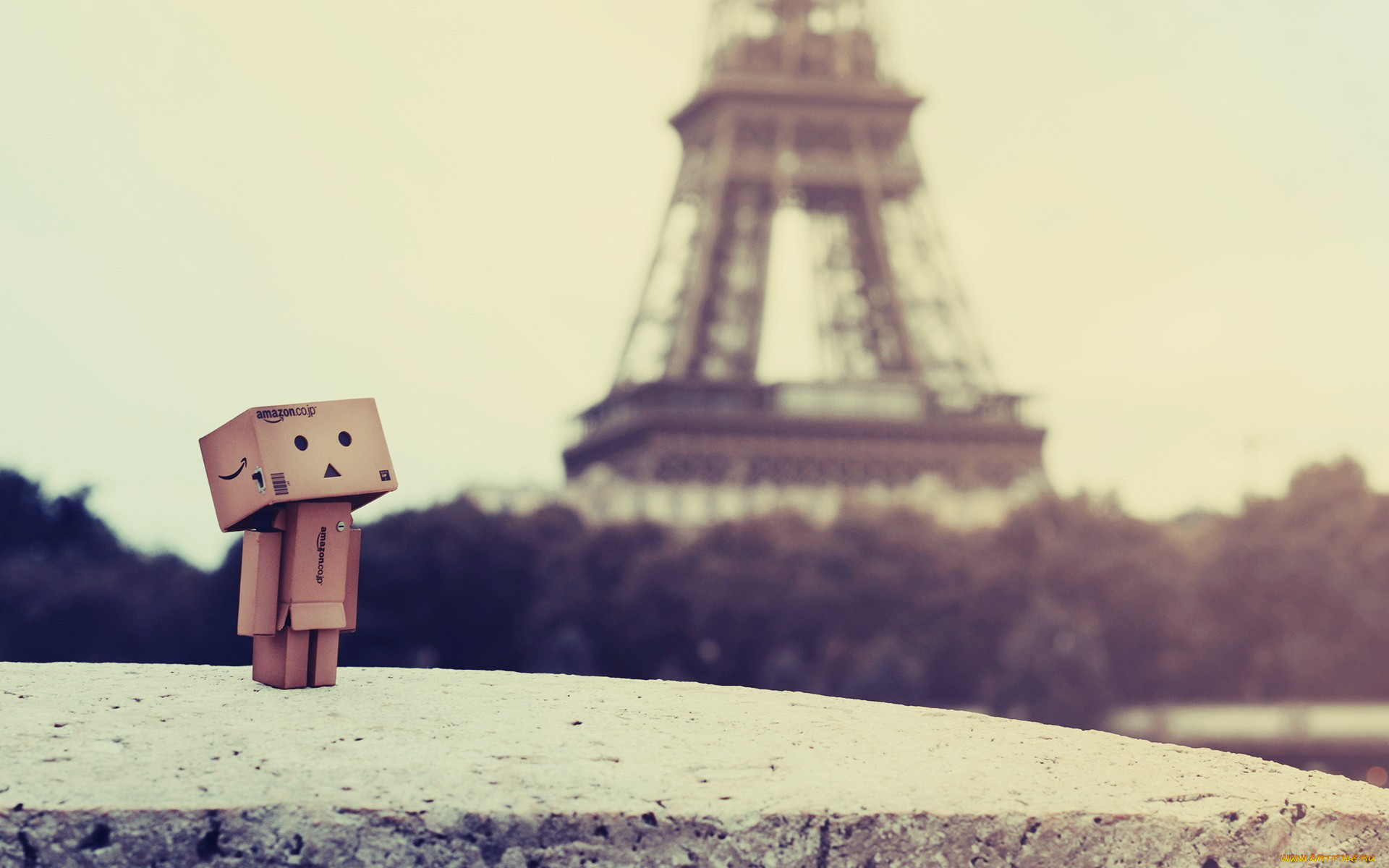, , danboard